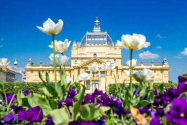 Zagreb, Hırvatistan, ilkbaharda. Güzel klasik mimari, şehir merkezindeki parkta sanat pavyonu güneşli yaz gününde ve ön planda çiçekler