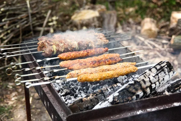 Bbq Beef Kebabs Hot Grill Closeup Arabian Iranian Kabab — Stock Photo, Image