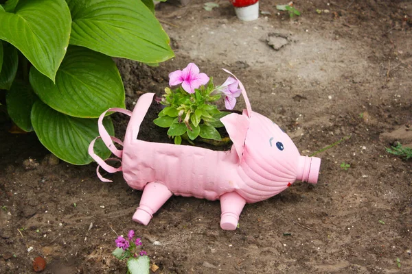 Recycled colored plastic flower pot is made of a plastic bottle for decoration in the form of a pink pig. Recycled plastic bottle.