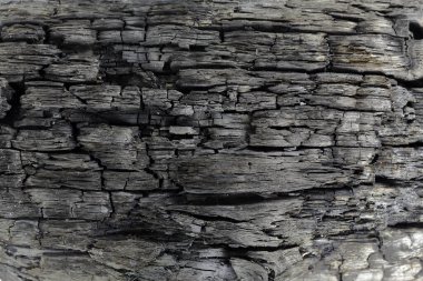 Yakın plan yanmış ahşap, doku, makro çekim.