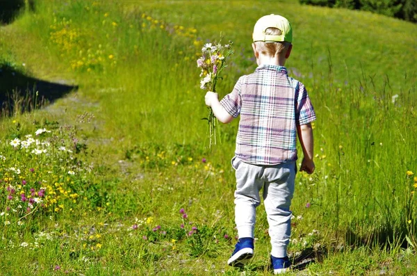 Ragazzo va con fiori di campo — Foto Stock