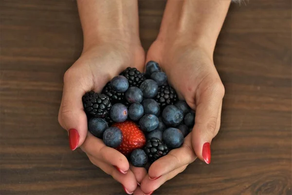 Bessen Vers Handen Van Vrouwelijke Aardbeien Bosbessen Braambessen — Stockfoto