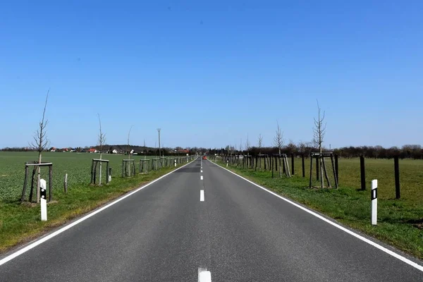 Asphalted Level Road Two Fields — Stock Photo, Image