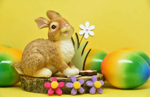 牡蛎装饰兔子和彩蛋 — 图库照片