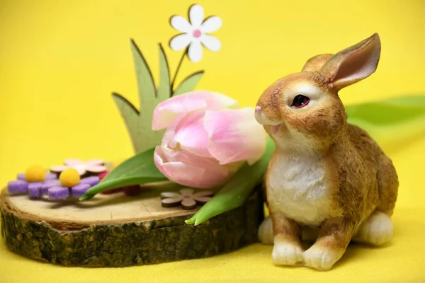 装饰的复活节兔子 粉红郁金香和有花的木板 — 图库照片