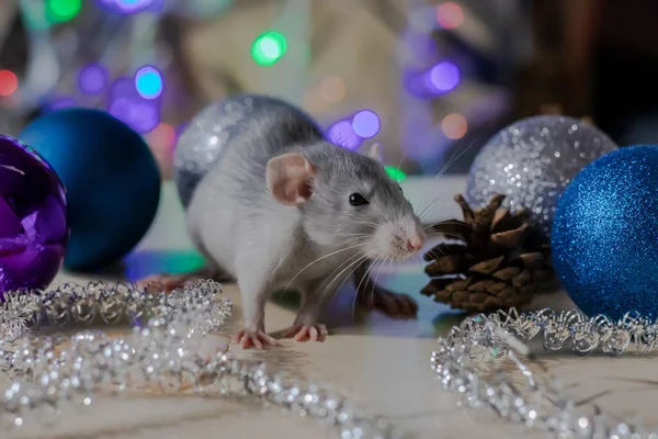 Символ новогодней крысы 2020 года. Год крысы. Китайский Новый 2020 год. Рождественские игрушки, боке — стоковое фото