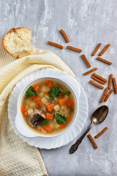 Tonijnvissoep Met Aardappelen Wortelen Een Zilveren Dienblad Met Kruiden — Stockfoto