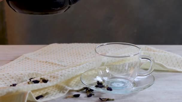 蓝蝴蝶茶 来自克里特利亚花特写 往杯子里倒异国情调的花青茶能促进体重减轻 健康与排毒 — 图库视频影像