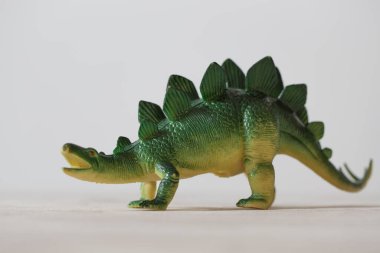 Plastik bir dinozor modeli. Çocuklar için Stegosaurus oyuncağı. Stegosaurus adında tarih öncesi bir yaratığın modeli..