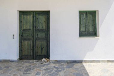 Güneşli bir günde evin eski yeşil kapısında beyaz duvarlarla uyuyan üç renkli kedi.
