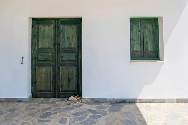 Gato Tricolor Dormindo Velha Porta Verde Casa Com Paredes Brancas — Fotografia de Stock