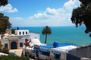 Beyaz ve mavi evler, masmavi deniz ve mavi gökyüzü. Sidi Bou Said, Tunus