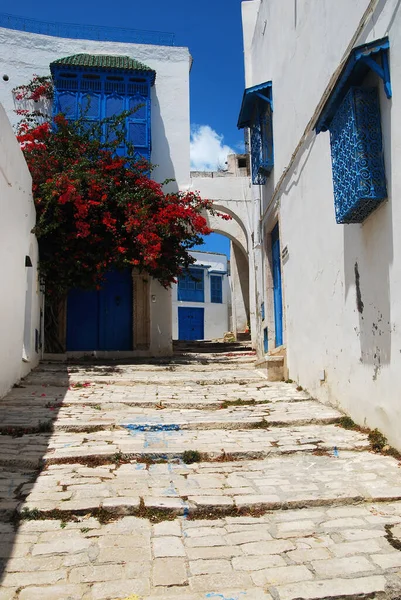 Sidi Bou Said, Tunus 'taki çiçek açan bitkiler arasında taş döşeli merdiven ve beyaz-mavi evler
