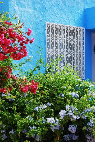 Branco Forjado Estampado Treliça Janela Uma Casa Azul Plantas Com — Fotografia de Stock