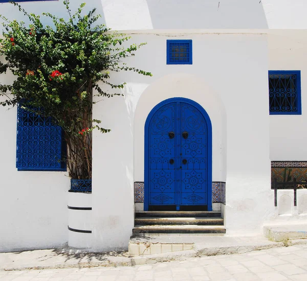 Tunus 'un Sidi Bou şehrinde güneşli bir günde siyah desenli geleneksel mavi Tunus metal kapısı.
