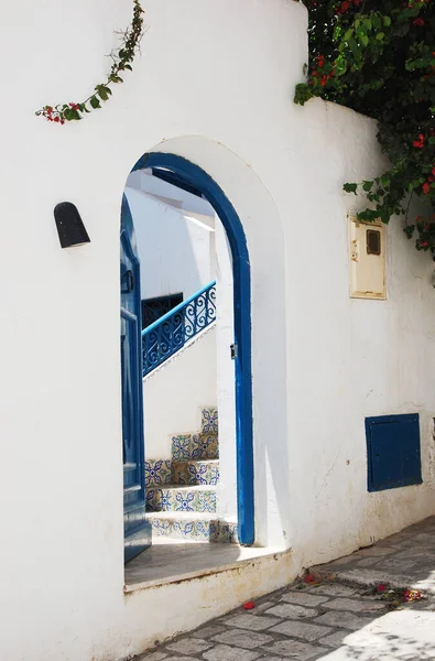 Tunus 'un Sidi Bou Said kentindeki çiçek açan bitkilerin arasında beyaz bir duvarda, aralık mavi bir kapının arkasındaki seramik fayanslara sahip merdiven.