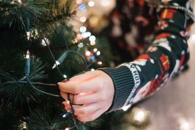 Dişiler Noel ağacını ışıklarla süslüyor