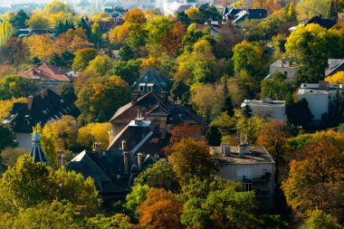 Budapeşte 'de Gellert Tepesi Kalesi, Budapeşte' den çekilen ağaçların ve evlerin resimli sonbahar manzarası.