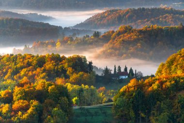 Sisli bir ormanın ortasında saklı bir ev..