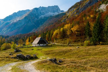 Slovenya 'nın kırsal kesimlerinde ahşap barakalar odaklı.