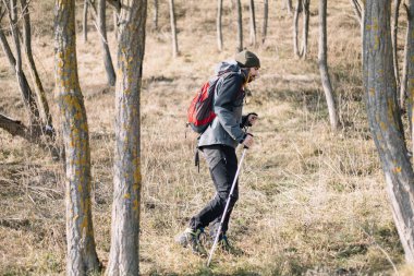 Dağ ormanlarında yürüyüş ekipmanlarıyla dolaşan sağlıklı bir adam.