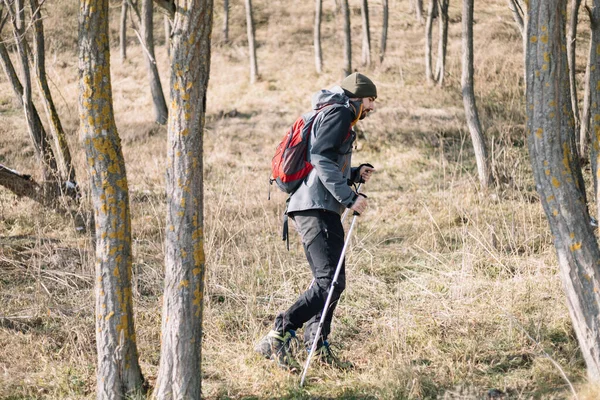 山の森を歩くハイキング機器を持つ健康な男 — ストック写真
