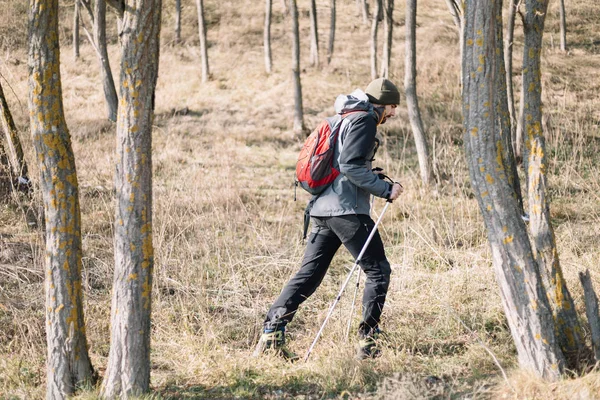 Homem viajante caminhando na floresta com postes — Fotografia de Stock