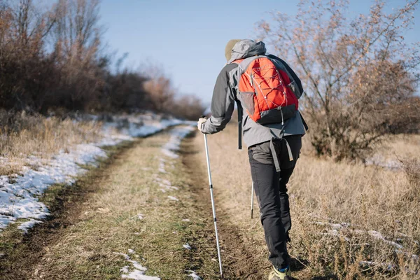 Toeristische man wandelen op bosweg met behulp van palen — Stockfoto