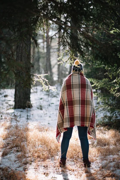 Back of a girl covered with blanket in snowy forest — Stock Fotó