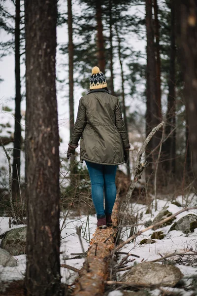 Back of a girl standing on fallen tree — 스톡 사진