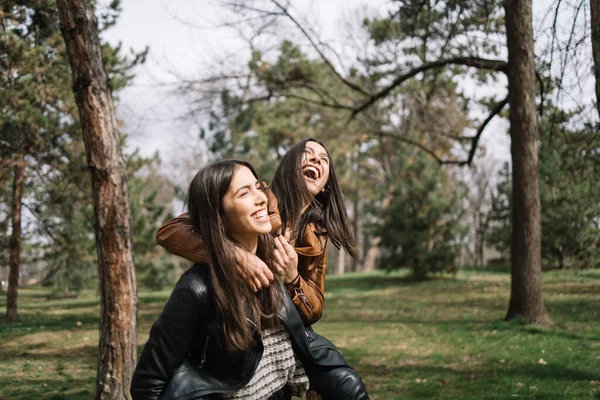 Kadın domuzcuk kız kardeşlerinin sırtında — Stok fotoğraf