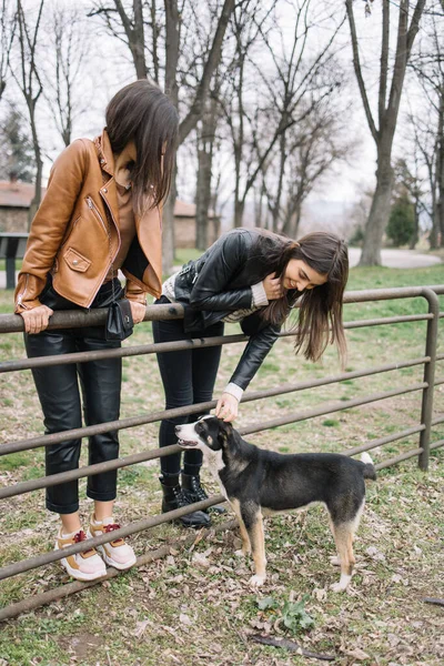 Young woman pet a homeless dog outdoors