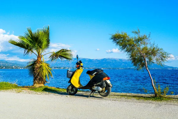 Moped y palma en la orilla del mar durante el día — Foto de Stock