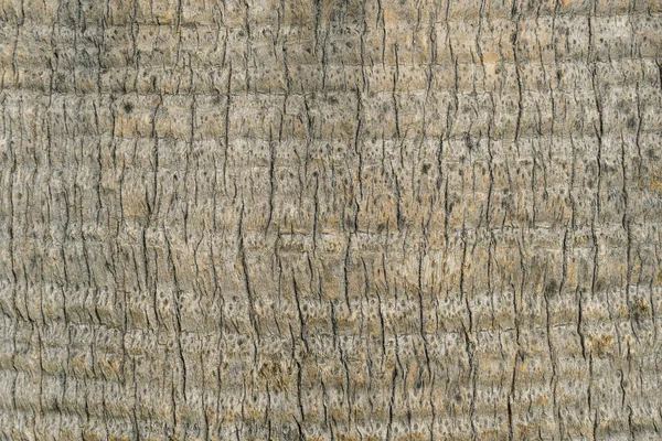 Крупним планом фото дерев'яної коричневої текстури — стокове фото