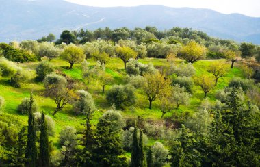 Gündüzleri Yunan doğasının güzel manzarası