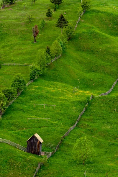 Vista aérea do campo verde com árvores e cabines — Fotografia de Stock