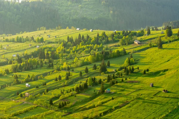 Landskap av gröna kullar med hus och träd. — Stockfoto