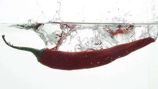 Chili pepper with water splashes against white background