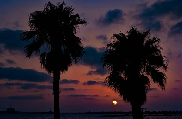 Красивый закат за силуэтом пальм — стоковое фото