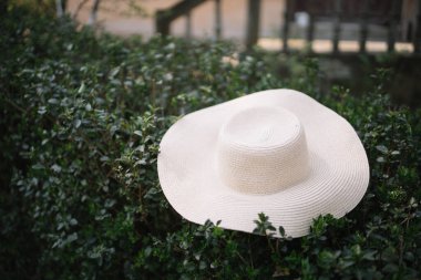 Yeşil çalılıklarda bej kadın güneş şapkası