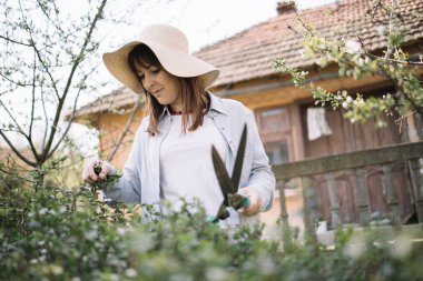 Arka bahçede elinde bahçe makası tutan bir kadın.