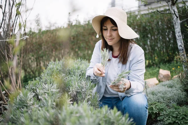 Wanita tukang kebun berjongkok di halaman sambil merobek herbal — Stok Foto