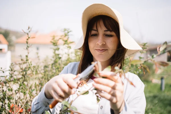 Potret tukang kebun perempuan memotong tanaman di kebun — Stok Foto