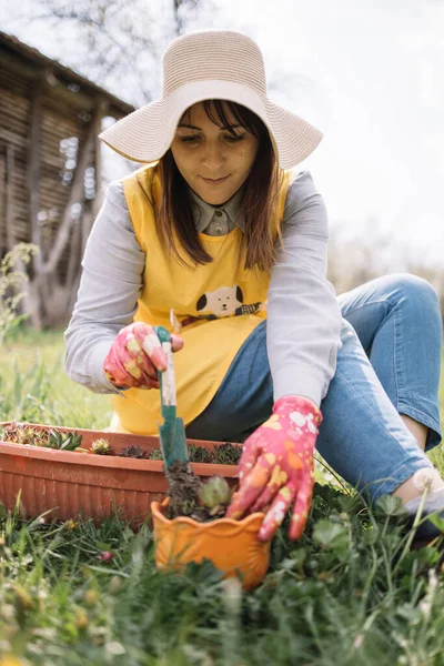 Wanita tukang kebun memegang sekop dan menaruh tanaman ke dalam pot. — Stok Foto