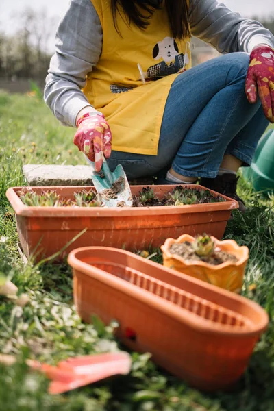 Tubuh tukang kebun perempuan seeding bunga di kebun — Stok Foto