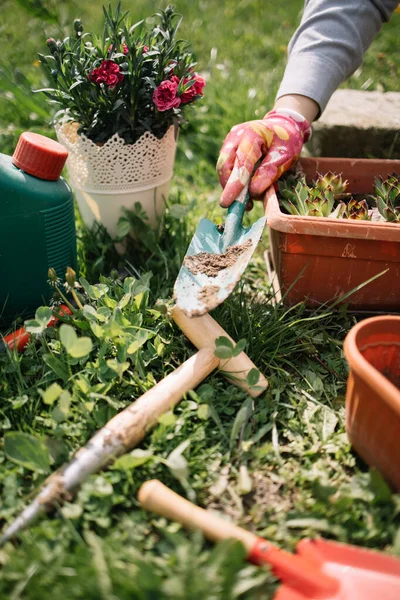 Tangan wanita memegang sekop taman di atas alat berkebun — Stok Foto