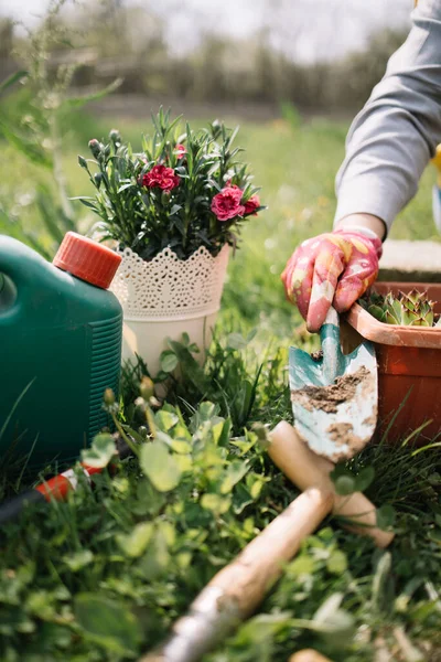 Tangan dengan sekop di atas bunga dan pot di rumput — Stok Foto