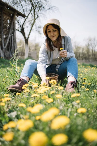 Gadis duduk di tanah dan memetik dandelion — Stok Foto