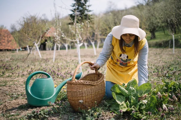 Perempuan tukang kebun memegang keranjang saat duduk di halaman — Stok Foto