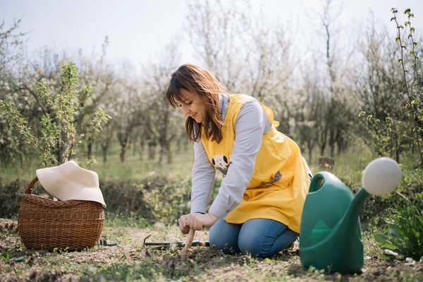 Betina tukang kebun menanam menggunakan seeder tangan di kebun sayuran — Stok Foto